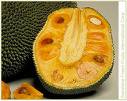 jackfruit
