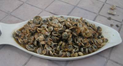 oyster