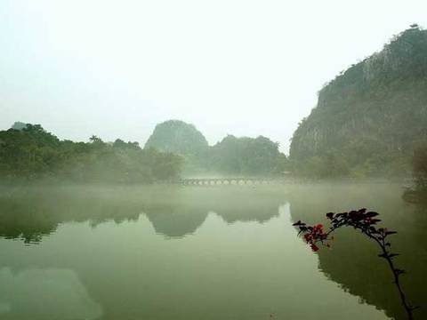 zhao qing
