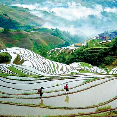 Longsheng rice terraces