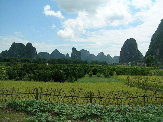 scenery along Li River