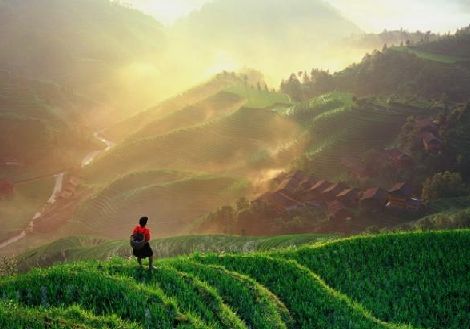 Ping An Rice Terrace