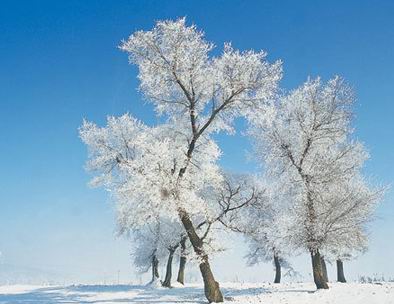 winter in Heilongjiang