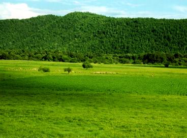 Inner Mongolia