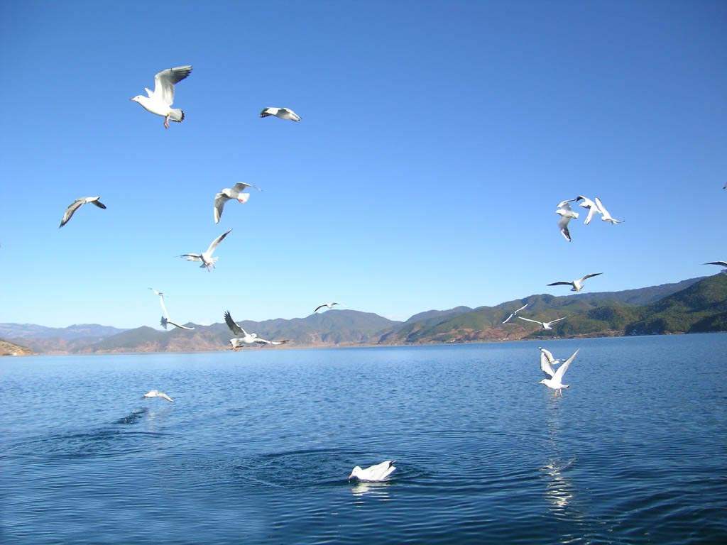 Qinghai Lake