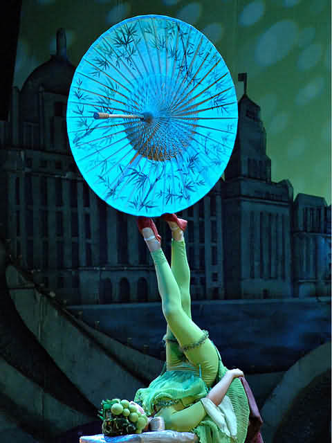 shanghai acrobats