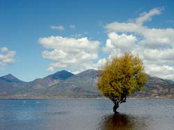 Lashi Lake