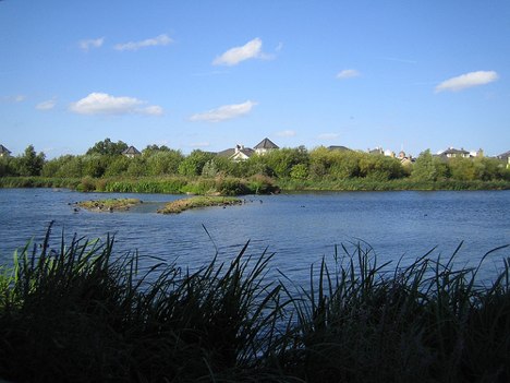 Wenhai wetland