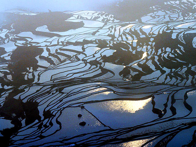 sunrise of Yuanyang rice terraces