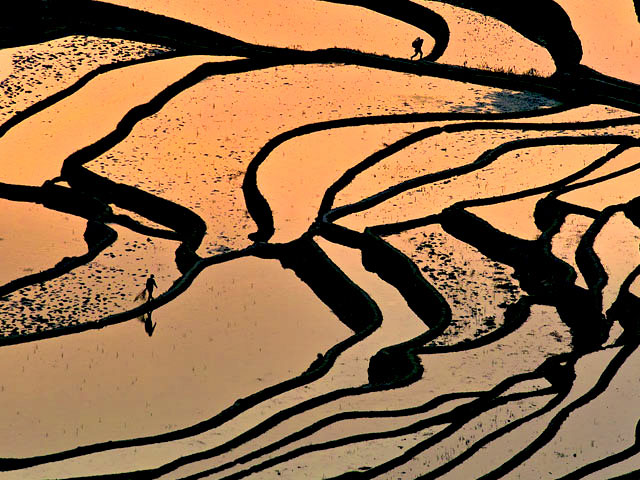 sunset of yuanyang rice terraces