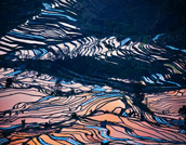 Yuanyang Rice Terraces